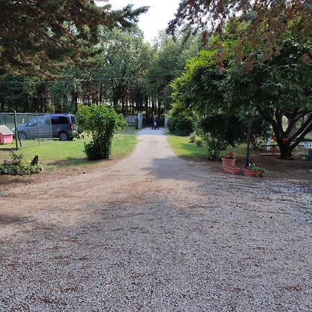 B&B Il Pizzagiallo Massa Martana Luaran gambar