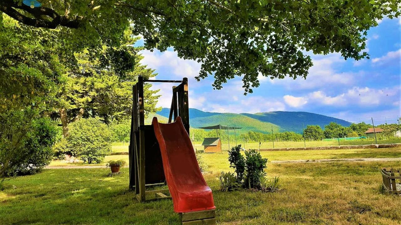 B&B Il Pizzagiallo Massa Martana Luaran gambar