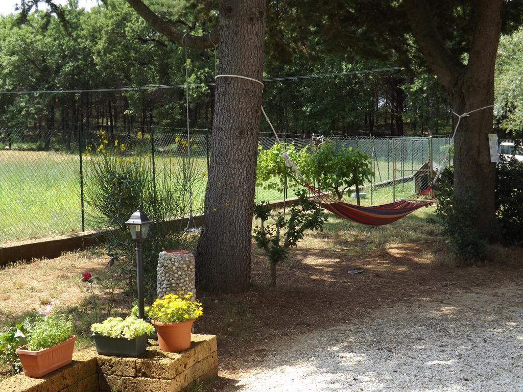 B&B Il Pizzagiallo Massa Martana Luaran gambar