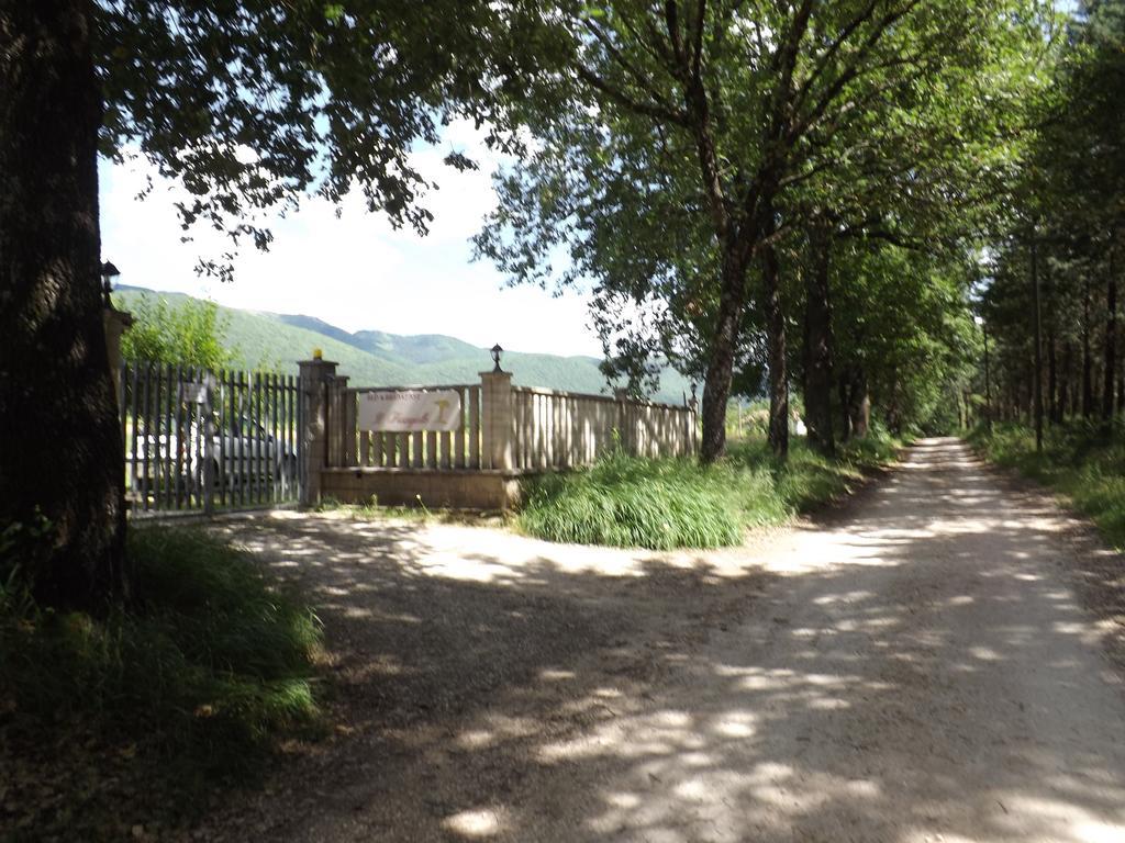 B&B Il Pizzagiallo Massa Martana Luaran gambar