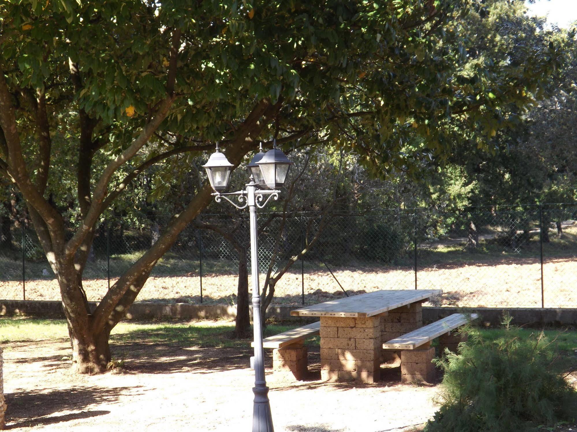 B&B Il Pizzagiallo Massa Martana Luaran gambar