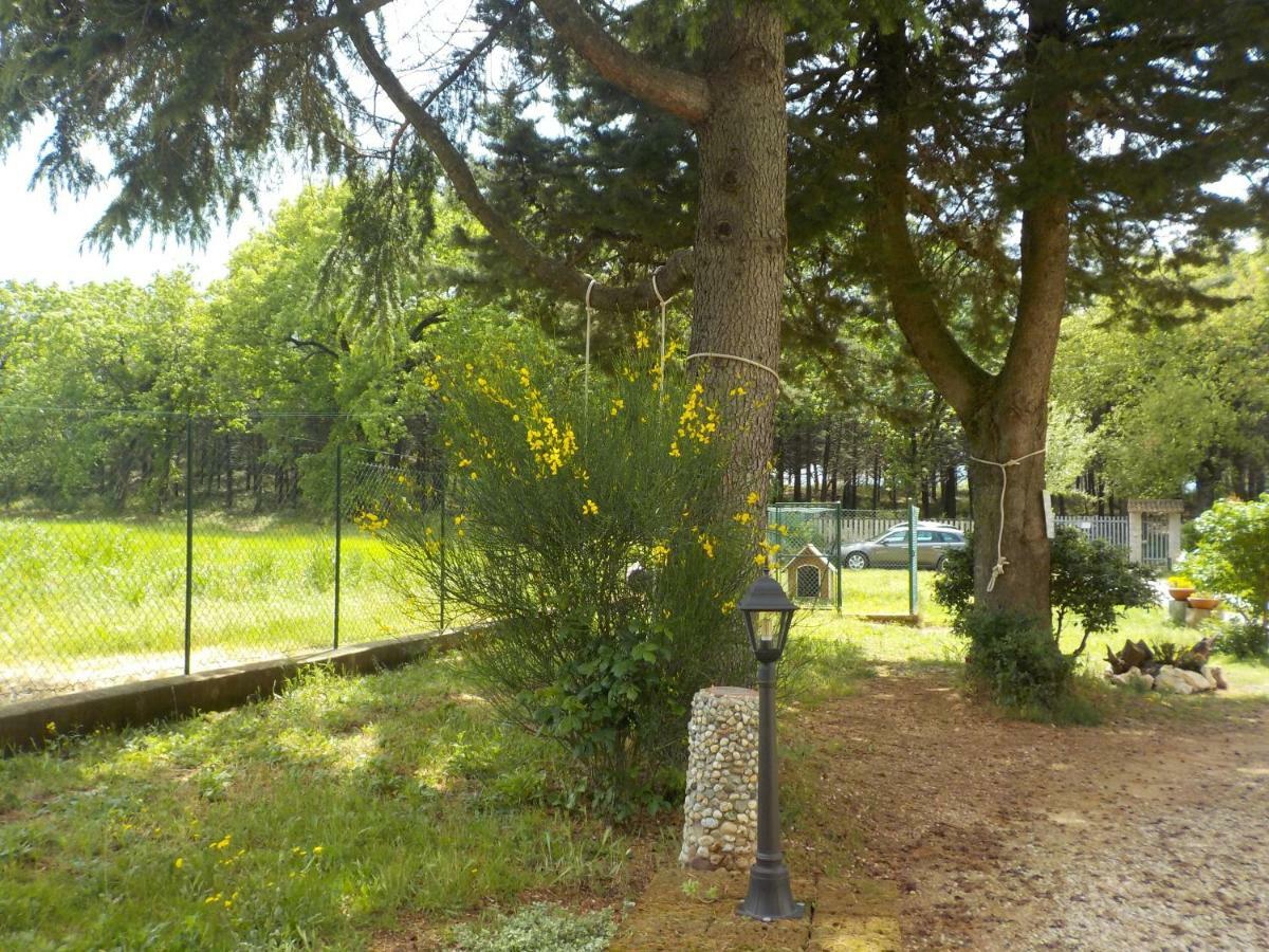 B&B Il Pizzagiallo Massa Martana Luaran gambar